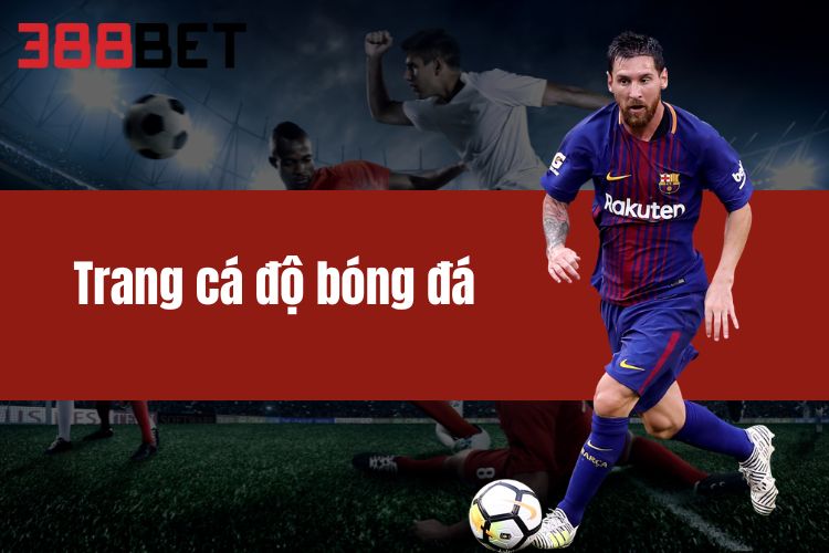  Trang Cá Độ Bóng Đá 388BET - Tỷ Lệ Ăn Cao, Rút Tiền Nhanh